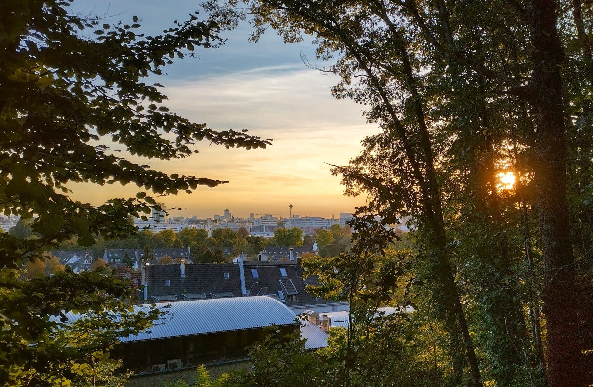 Beautiful Fall Hiking in Düsseldorf